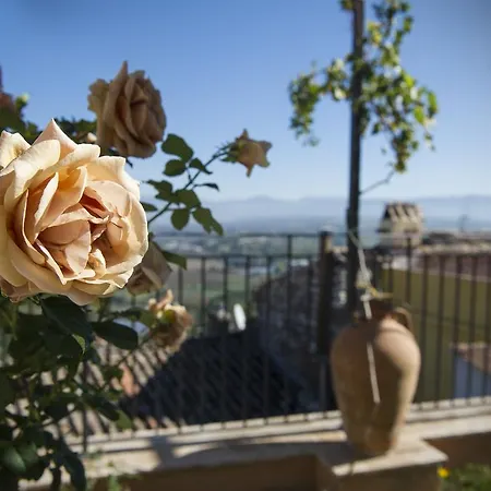 Bed and Breakfast Casanise 3*